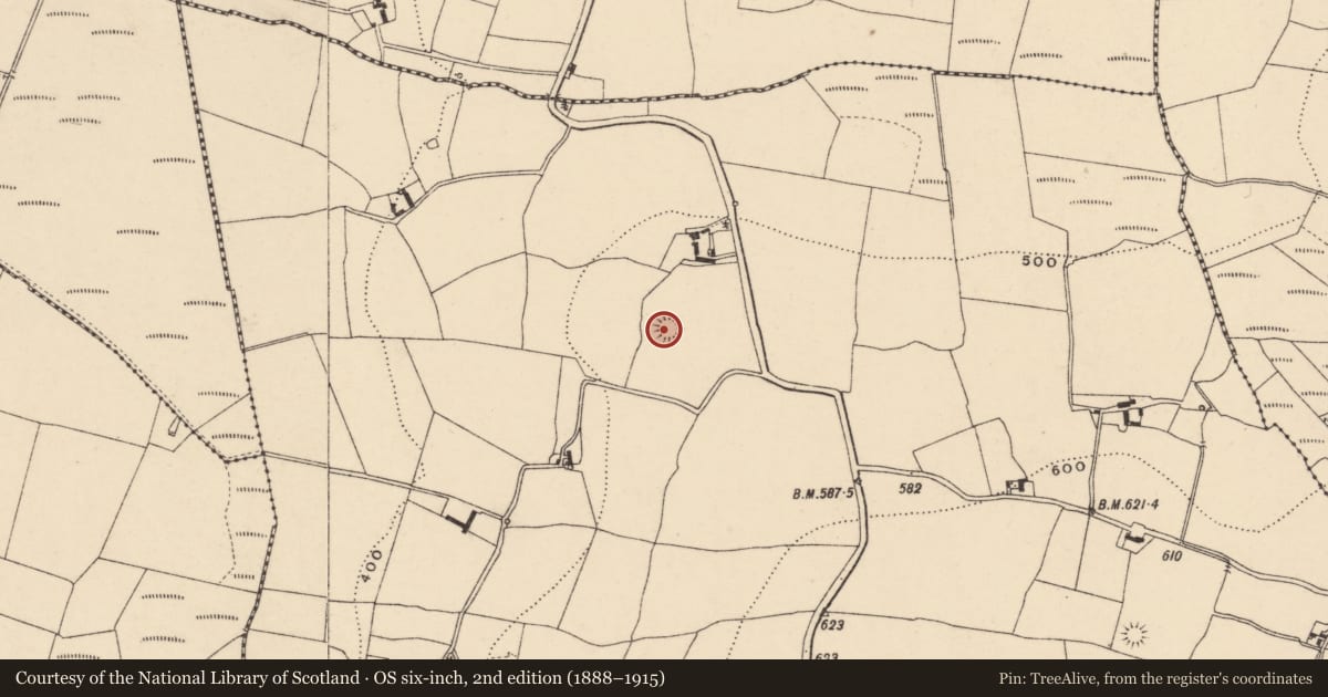 Ordnance Survey six-inch map, 2nd edition (1888–1915) covering the location of Ringfort - rath, Knockendrane, County Carlow, with a pin at the register's coordinates