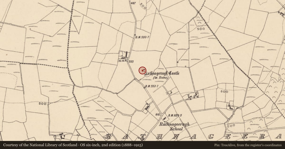 Ordnance Survey six-inch map, 2nd edition (1888–1915) covering the location of Castle - unclassified, Rathnageeragh, County Carlow, with a pin at the register's coordinates