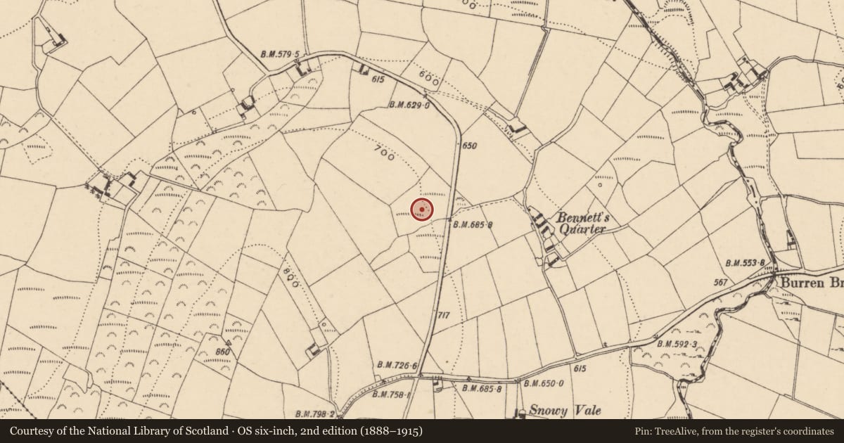 Ordnance Survey six-inch map, 2nd edition (1888–1915) covering the location of Hut site, Coolasnaghta, County Carlow, with a pin at the register's coordinates