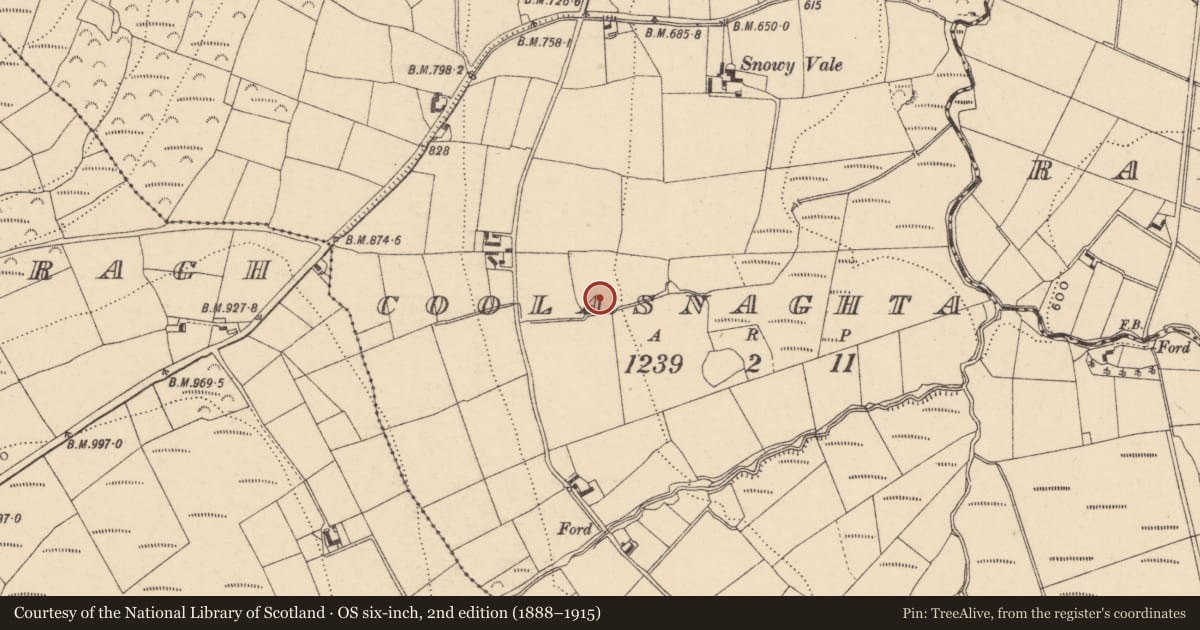 Ordnance Survey six-inch map, 2nd edition (1888–1915) covering the location of Enclosure, Coolasnaghta, County Carlow, with a pin at the register's coordinates