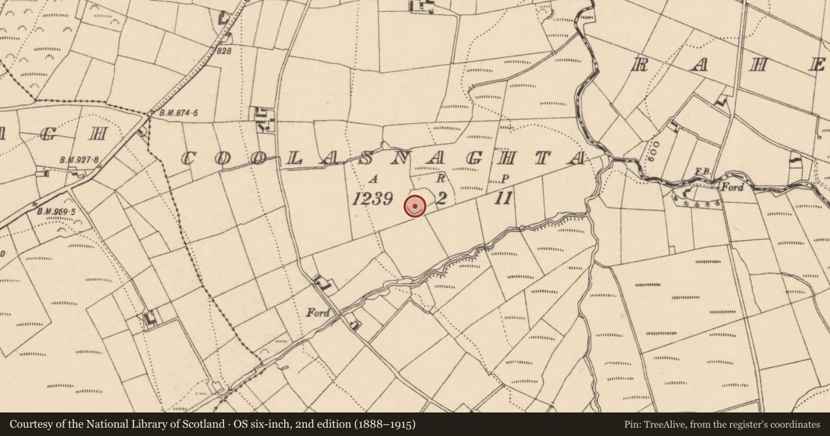 Ordnance Survey six-inch map, 2nd edition (1888–1915) covering the location of Enclosure, Coolasnaghta, County Carlow, with a pin at the register's coordinates