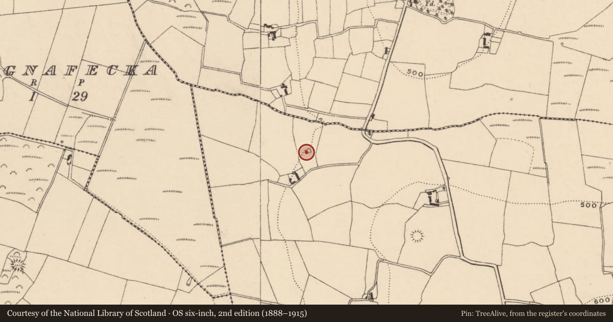 Ordnance Survey six-inch map, 2nd edition (1888–1915) covering the location of Enclosure, Knockendrane, County Carlow, with a pin at the register's coordinates