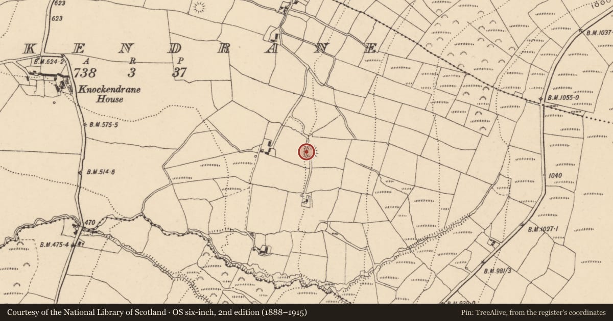 Ordnance Survey six-inch map, 2nd edition (1888–1915) covering the location of Ringfort - rath, Knockendrane, County Carlow, with a pin at the register's coordinates