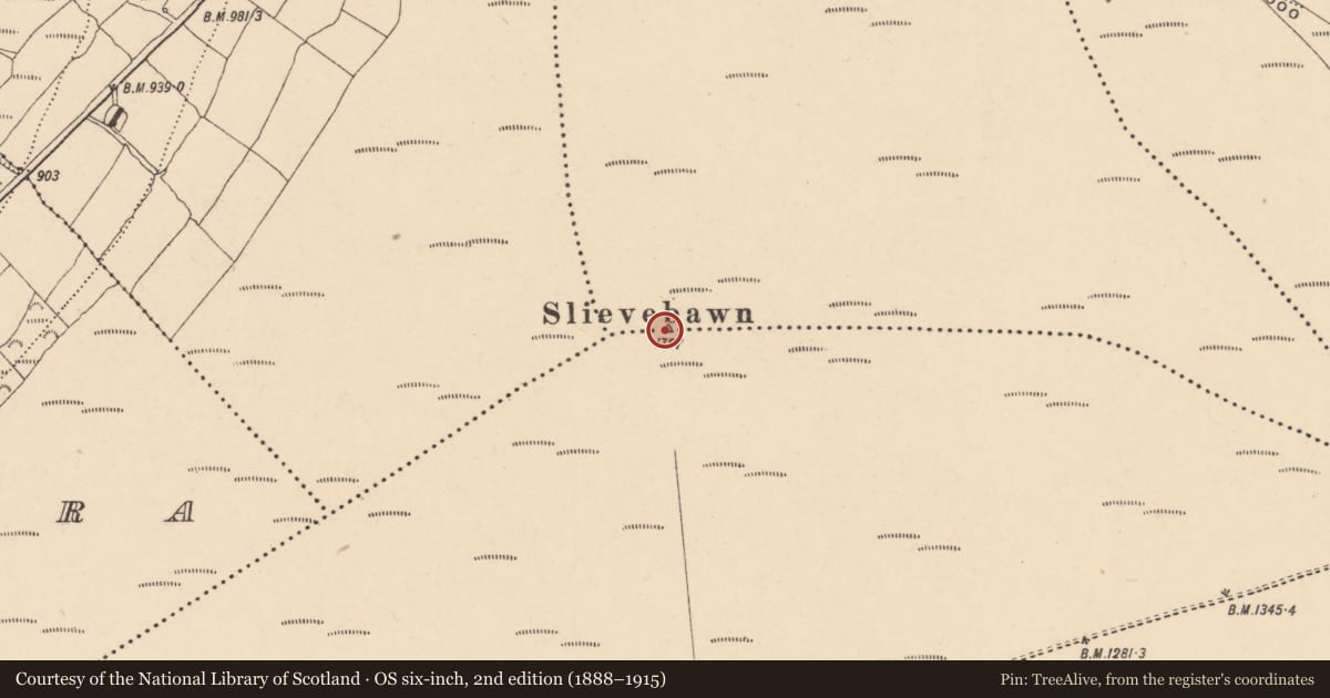 Ordnance Survey six-inch map, 2nd edition (1888–1915) covering the location of Cairn - unclassified, Raheenkyle, Rathnageeragh, County Carlow, with a pin at the register's coordinates