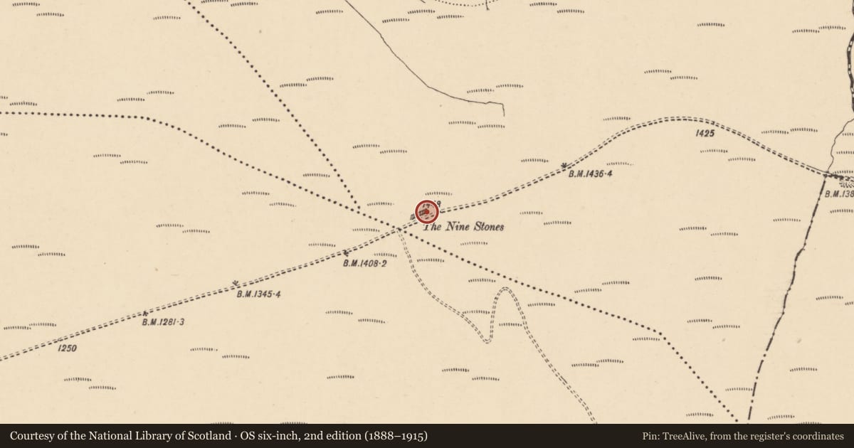 Ordnance Survey six-inch map, 2nd edition (1888–1915) covering the location of Stone row, Coolasnaghta, County Carlow, with a pin at the register's coordinates