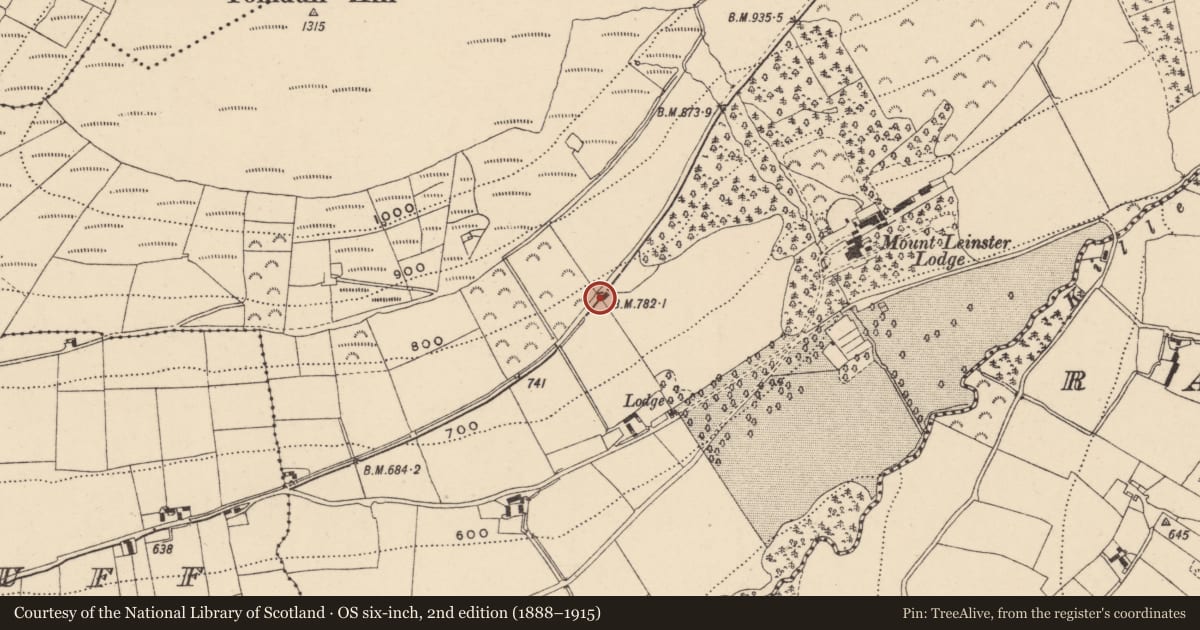 Ordnance Survey six-inch map, 2nd edition (1888–1915) covering the location of Designed landscape - folly, Raheenkyle, County Carlow, with a pin at the register's coordinates