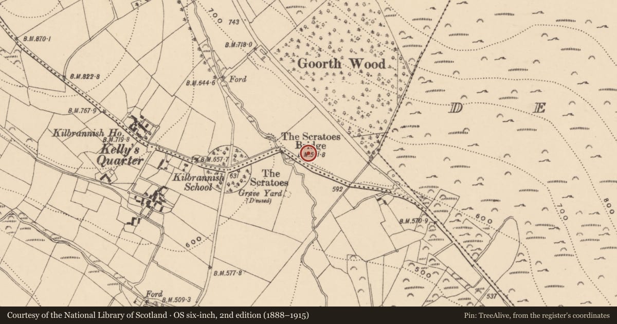 Ordnance Survey six-inch map, 2nd edition (1888–1915) covering the location of Standing stone, Kilbrannish North, County Carlow, with a pin at the register's coordinates