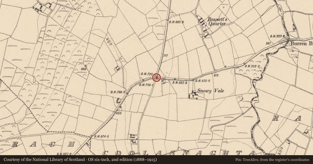 Ordnance Survey six-inch map, 2nd edition (1888–1915) covering the location of Rock art, Coolasnaghta, County Carlow, with a pin at the register's coordinates