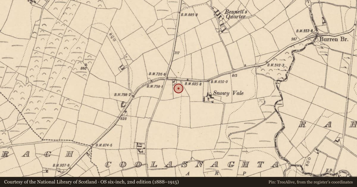 Ordnance Survey six-inch map, 2nd edition (1888–1915) covering the location of Rock art (present location), Coolasnaghta, County Carlow, with a pin at the register's coordinates