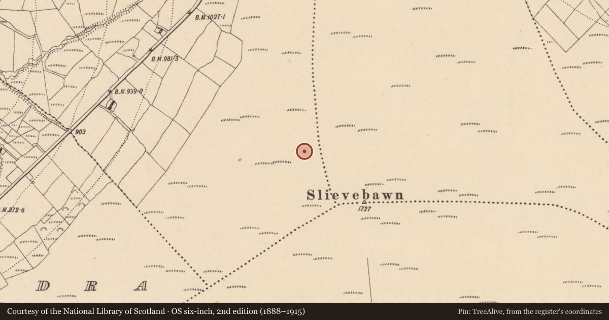 Ordnance Survey six-inch map, 2nd edition (1888–1915) covering the location of Cursus, Knockendrane, County Carlow, with a pin at the register's coordinates