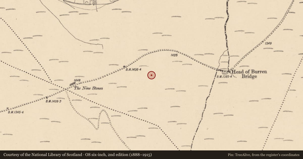 Ordnance Survey six-inch map, 2nd edition (1888–1915) covering the location of Cursus, Coolasnaghta, County Carlow, with a pin at the register's coordinates