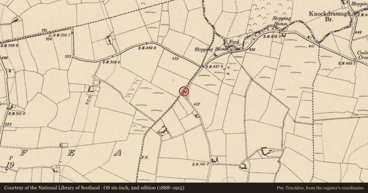 Ordnance Survey six-inch map, 2nd edition (1888–1915) covering the location of Burial ground, Rathnageeragh, County Carlow, with a pin at the register's coordinates