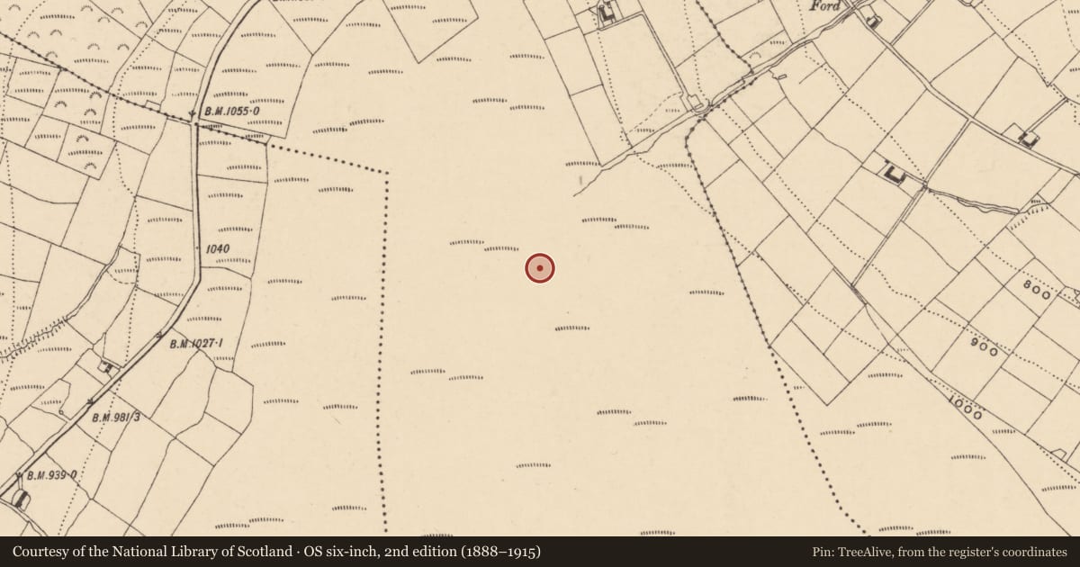 Ordnance Survey six-inch map, 2nd edition (1888–1915) covering the location of House - indeterminate date, Rathnageeragh, County Carlow, with a pin at the register's coordinates
