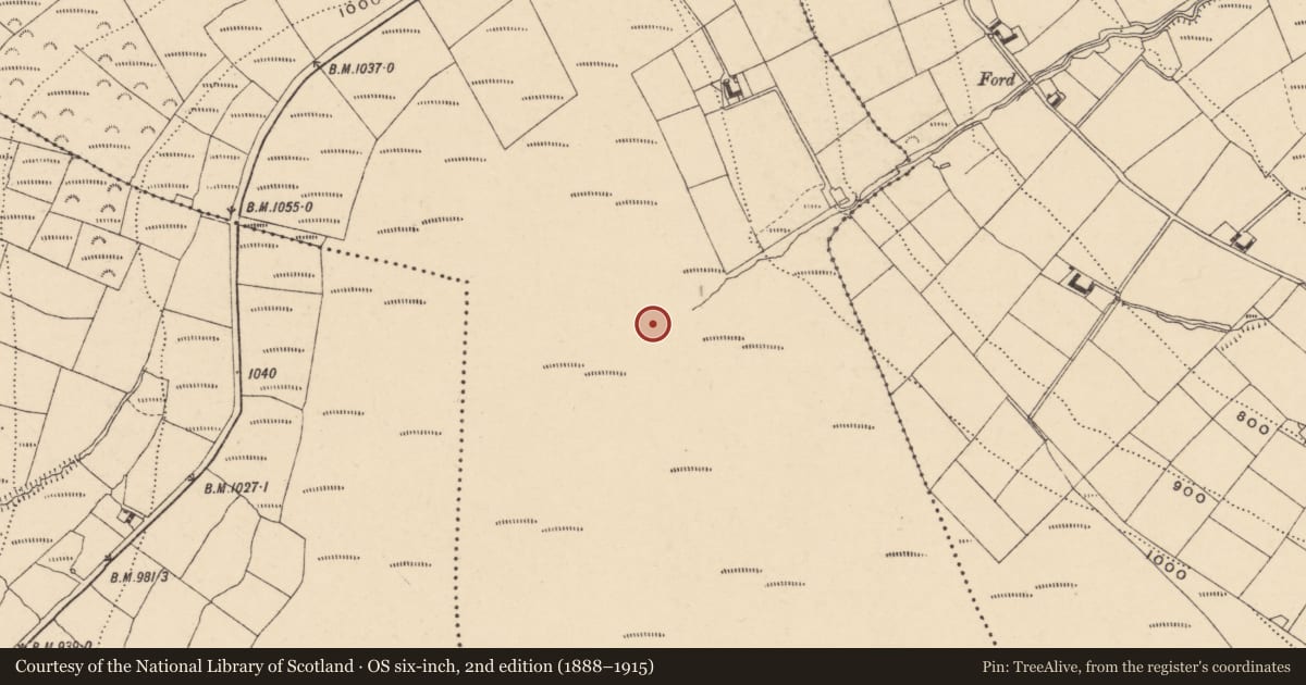 Ordnance Survey six-inch map, 2nd edition (1888–1915) covering the location of House - indeterminate date, Rathnageeragh, County Carlow, with a pin at the register's coordinates