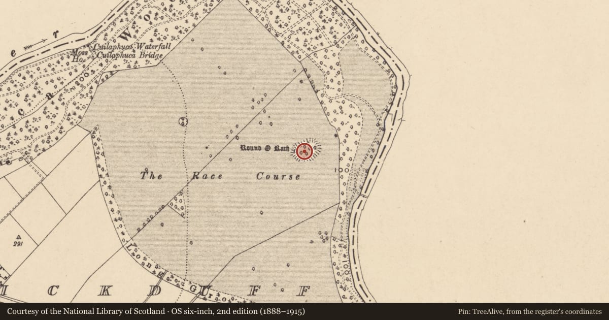 Ordnance Survey six-inch map, 2nd edition (1888–1915) covering the location of Enclosure, Carrickduff, County Carlow, with a pin at the register's coordinates