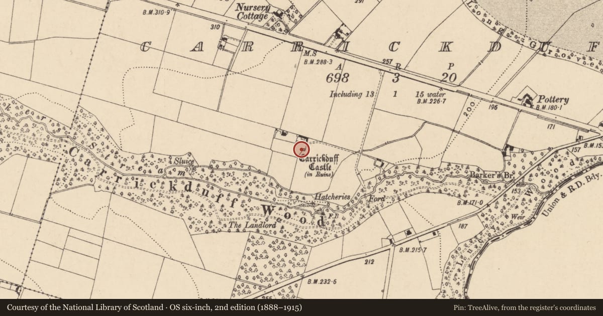 Ordnance Survey six-inch map, 2nd edition (1888–1915) covering the location of House - fortified house, Carrickduff, County Carlow, with a pin at the register's coordinates