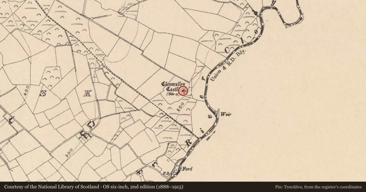 Ordnance Survey six-inch map, 2nd edition (1888–1915) covering the location of Castle - unclassified, Clonmullen, County Carlow, with a pin at the register's coordinates
