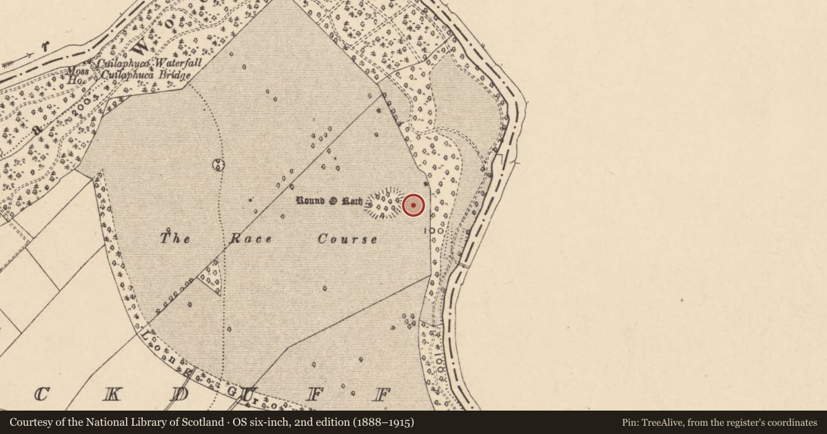 Ordnance Survey six-inch map, 2nd edition (1888–1915) covering the location of Excavation - miscellaneous, Carrickduff, County Carlow, with a pin at the register's coordinates