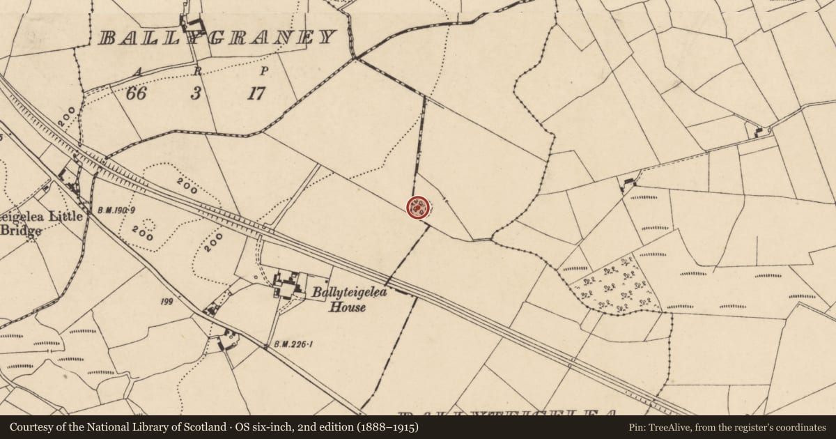 Ordnance Survey six-inch map, 2nd edition (1888–1915) covering the location of Ringfort - rath, Ballyteigelea, County Carlow, with a pin at the register's coordinates