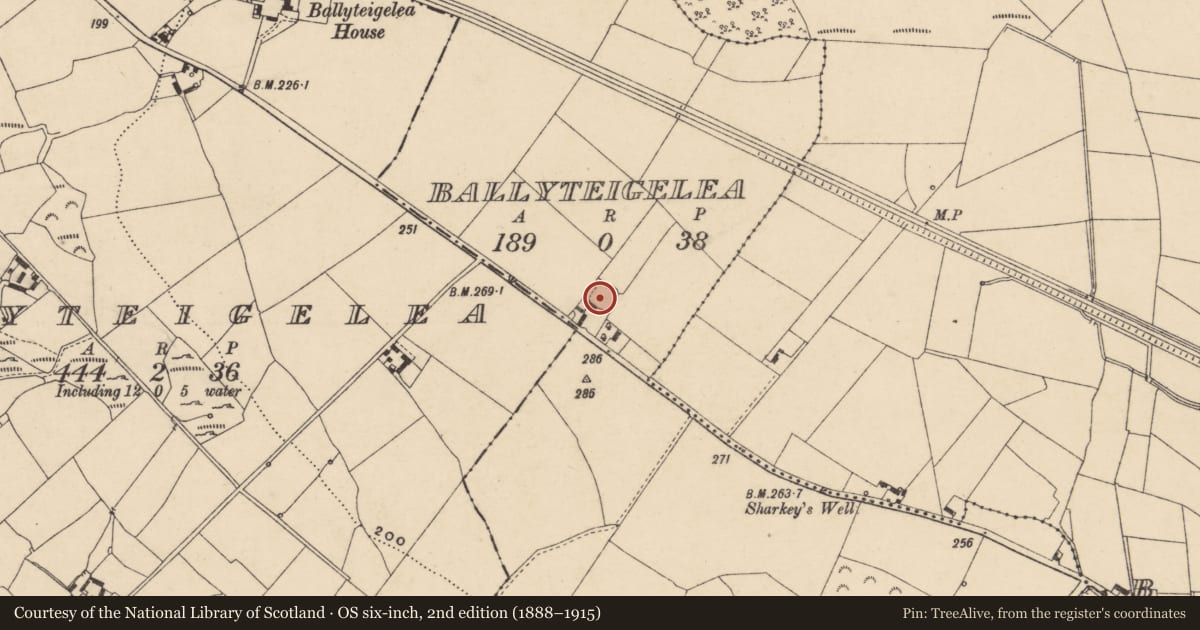 Ordnance Survey six-inch map, 2nd edition (1888–1915) covering the location of Ringfort - rath, Ballyteigelea, County Carlow, with a pin at the register's coordinates