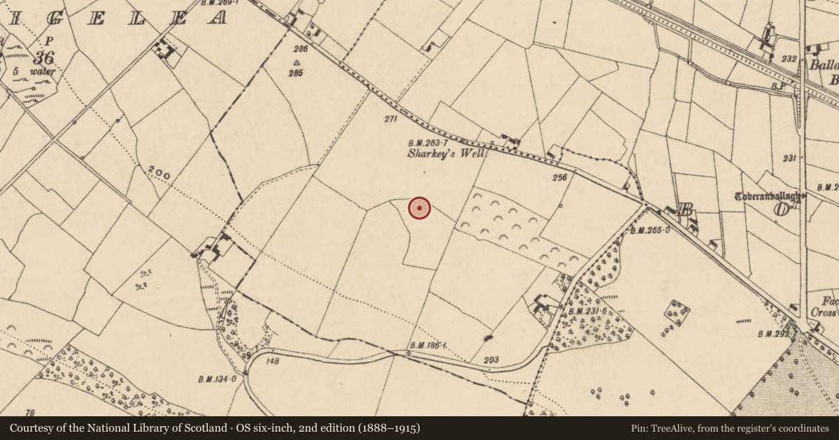 Ordnance Survey six-inch map, 2nd edition (1888–1915) covering the location of Earthwork, Ballyteigelea, County Carlow, with a pin at the register's coordinates