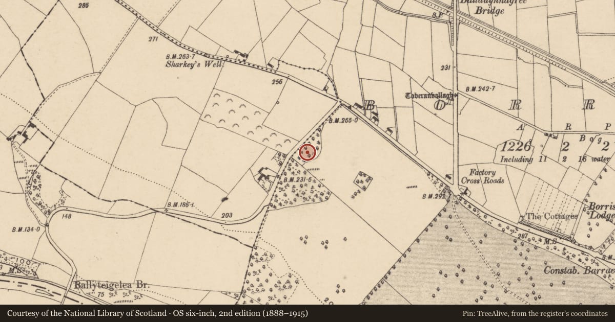 Ordnance Survey six-inch map, 2nd edition (1888–1915) covering the location of Designed landscape feature, Borris, County Carlow, with a pin at the register's coordinates