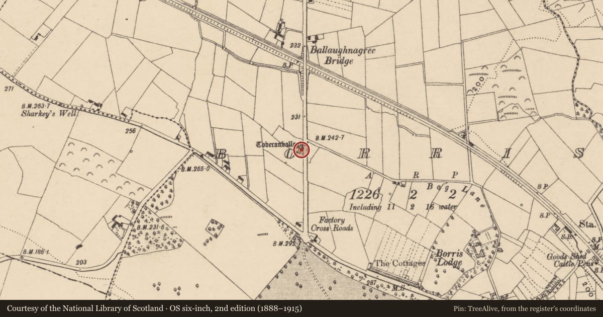 Ordnance Survey six-inch map, 2nd edition (1888–1915) covering the location of Ritual site - holy well, Borris, County Carlow, with a pin at the register's coordinates