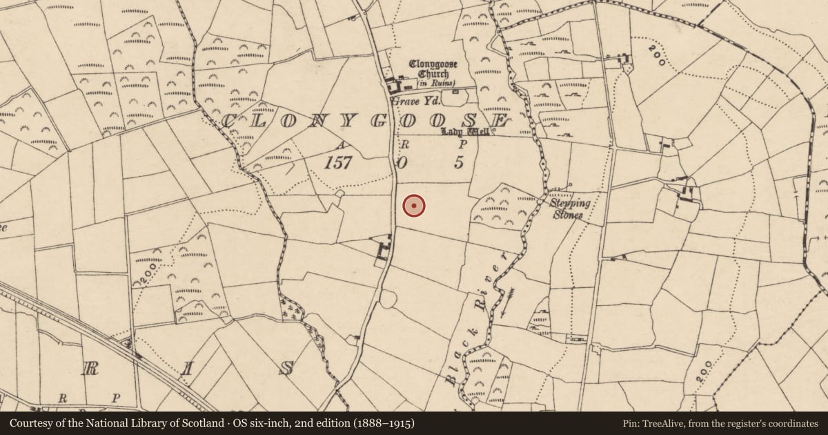 Ordnance Survey six-inch map, 2nd edition (1888–1915) covering the location of Megalithic structure, Clonygoose, County Carlow, with a pin at the register's coordinates