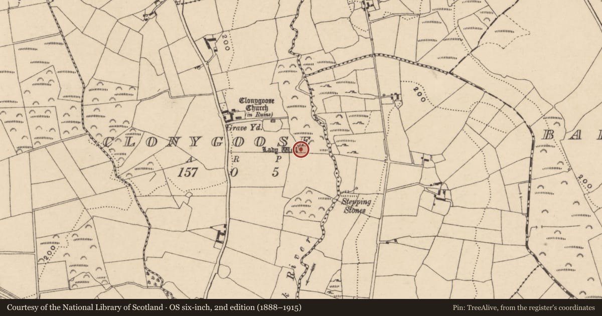 Ordnance Survey six-inch map, 2nd edition (1888–1915) covering the location of Ritual site - holy well, Clonygoose, County Carlow, with a pin at the register's coordinates