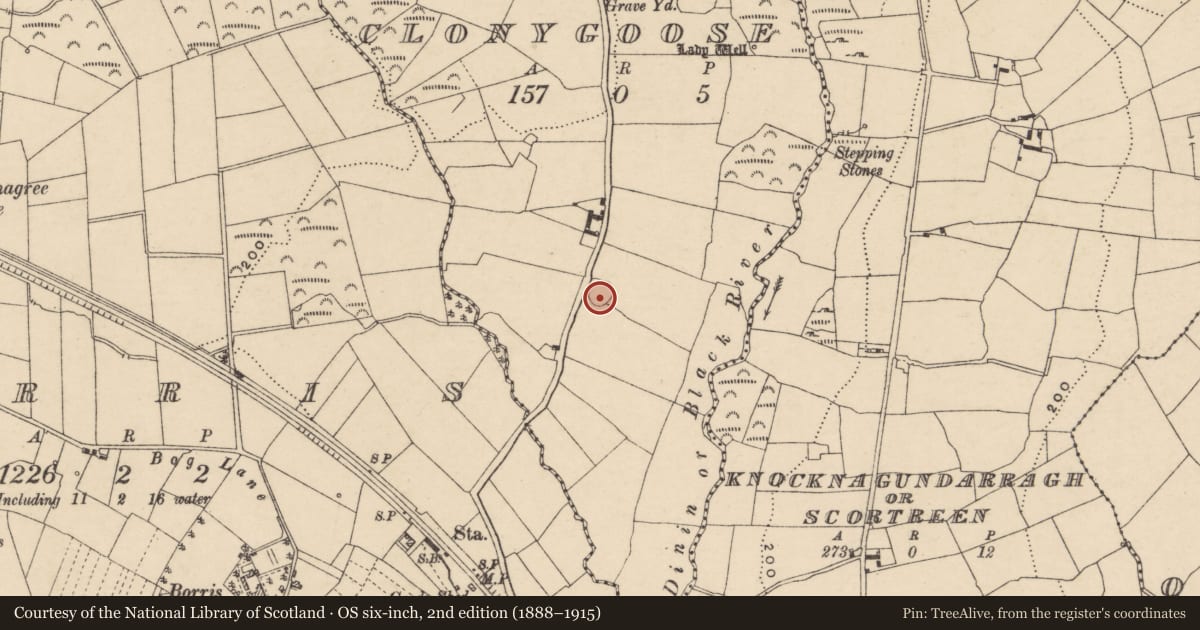 Ordnance Survey six-inch map, 2nd edition (1888–1915) covering the location of Ringfort - cashel, Clonygoose, County Carlow, with a pin at the register's coordinates