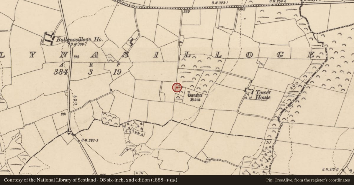 Ordnance Survey six-inch map, 2nd edition (1888–1915) covering the location of Megalithic tomb - portal tomb, Ballynasilloge, County Carlow, with a pin at the register's coordinates