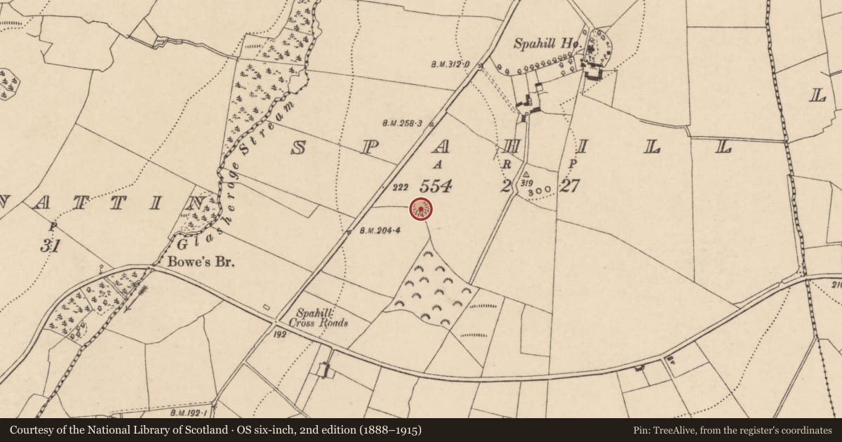 Ordnance Survey six-inch map, 2nd edition (1888–1915) covering the location of Ringfort - rath, Spahill, County Carlow, with a pin at the register's coordinates