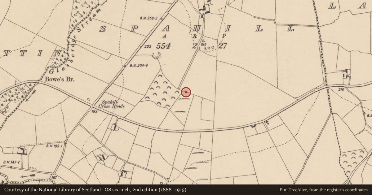 Ordnance Survey six-inch map, 2nd edition (1888–1915) covering the location of Earthwork, Spahill, County Carlow, with a pin at the register's coordinates