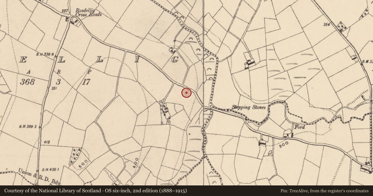 Ordnance Survey six-inch map, 2nd edition (1888–1915) covering the location of Earthwork, Rosdellig, County Carlow, with a pin at the register's coordinates