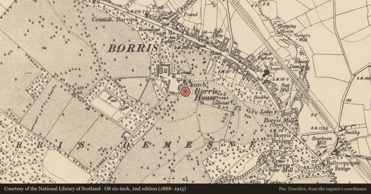 Ordnance Survey six-inch map, 2nd edition (1888–1915) covering the location of Castle - unclassified, Borris, County Carlow, with a pin at the register's coordinates