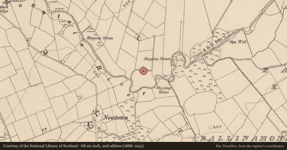 Ordnance Survey six-inch map, 2nd edition (1888–1915) covering the location of Moated site, Spahill, County Carlow, with a pin at the register's coordinates