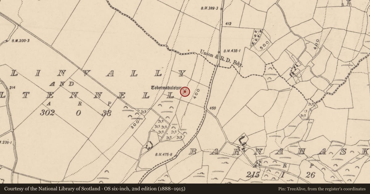 Ordnance Survey six-inch map, 2nd edition (1888–1915) covering the location of Ritual site - holy well, Ballinvally And Kiltennell, County Carlow, with a pin at the register's coordinates