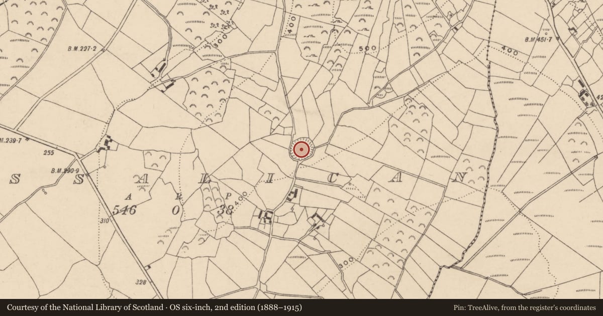 Ordnance Survey six-inch map, 2nd edition (1888–1915) covering the location of Ringfort - rath, Lissalican, County Carlow, with a pin at the register's coordinates