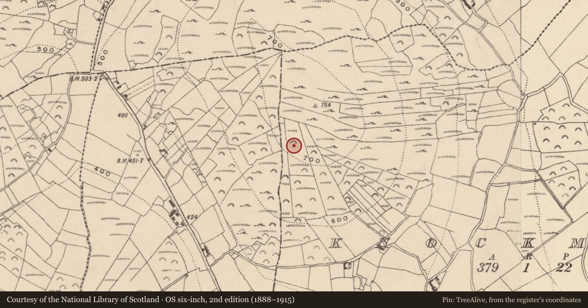 Ordnance Survey six-inch map, 2nd edition (1888–1915) covering the location of Megalithic structure, Knockmore, County Carlow, with a pin at the register's coordinates