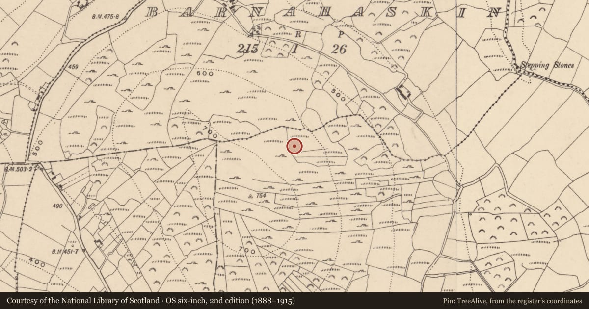Ordnance Survey six-inch map, 2nd edition (1888–1915) covering the location of Cairn - unclassified, Knockmore, County Carlow, with a pin at the register's coordinates