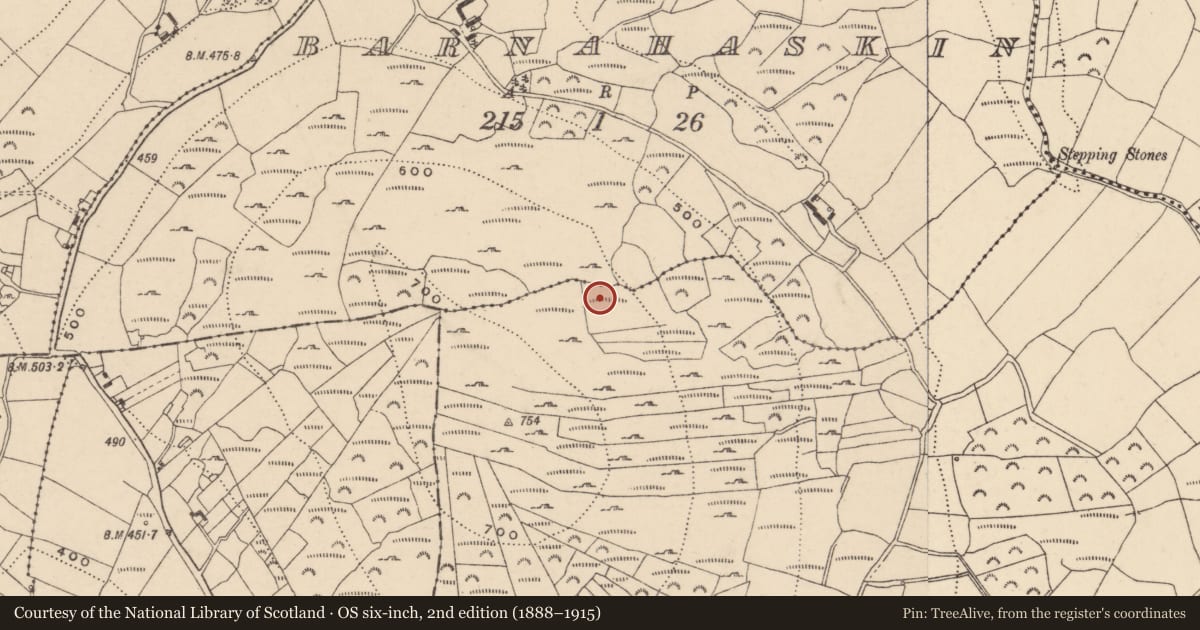 Ordnance Survey six-inch map, 2nd edition (1888–1915) covering the location of Cairn - unclassified, Knockmore, County Carlow, with a pin at the register's coordinates