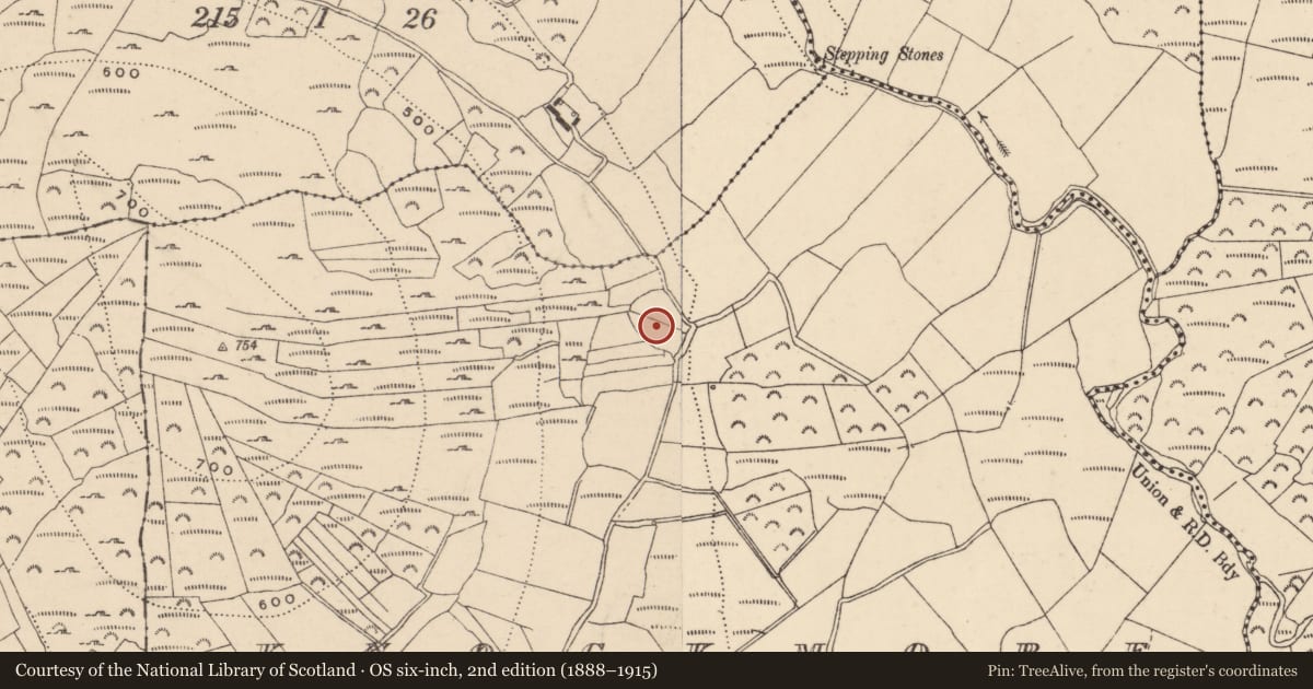 Ordnance Survey six-inch map, 2nd edition (1888–1915) covering the location of Enclosure, Knockmore, County Carlow, with a pin at the register's coordinates