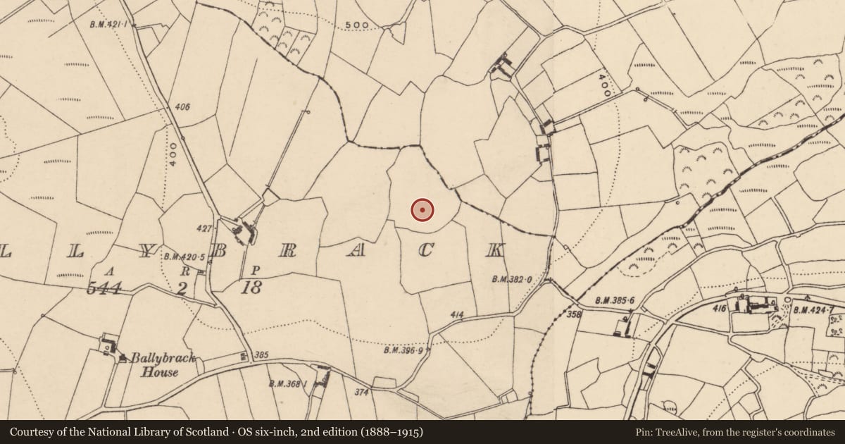 Ordnance Survey six-inch map, 2nd edition (1888–1915) covering the location of Enclosure, Ballybrack, County Carlow, with a pin at the register's coordinates