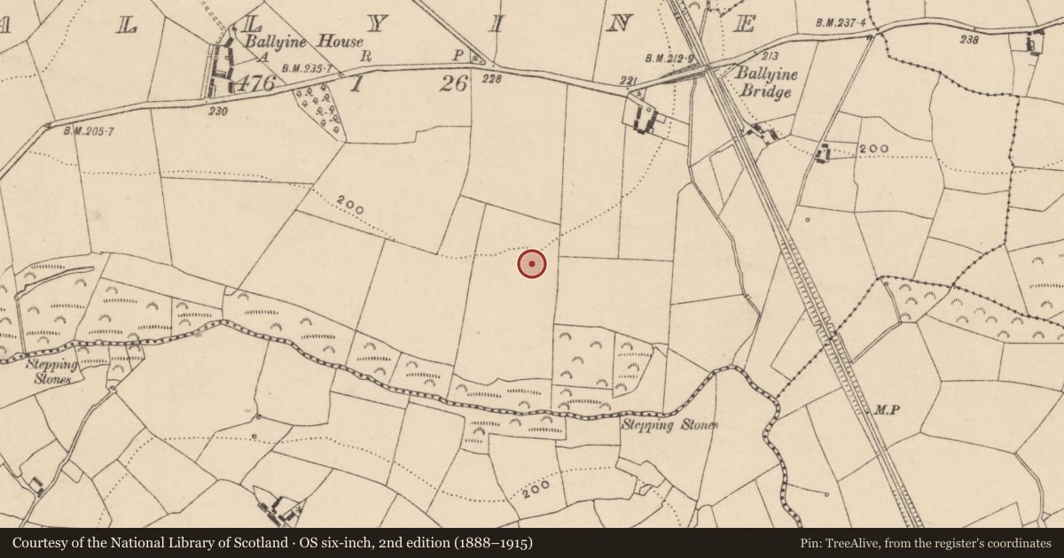 Ordnance Survey six-inch map, 2nd edition (1888–1915) covering the location of Enclosure, Ballyine, County Carlow, with a pin at the register's coordinates