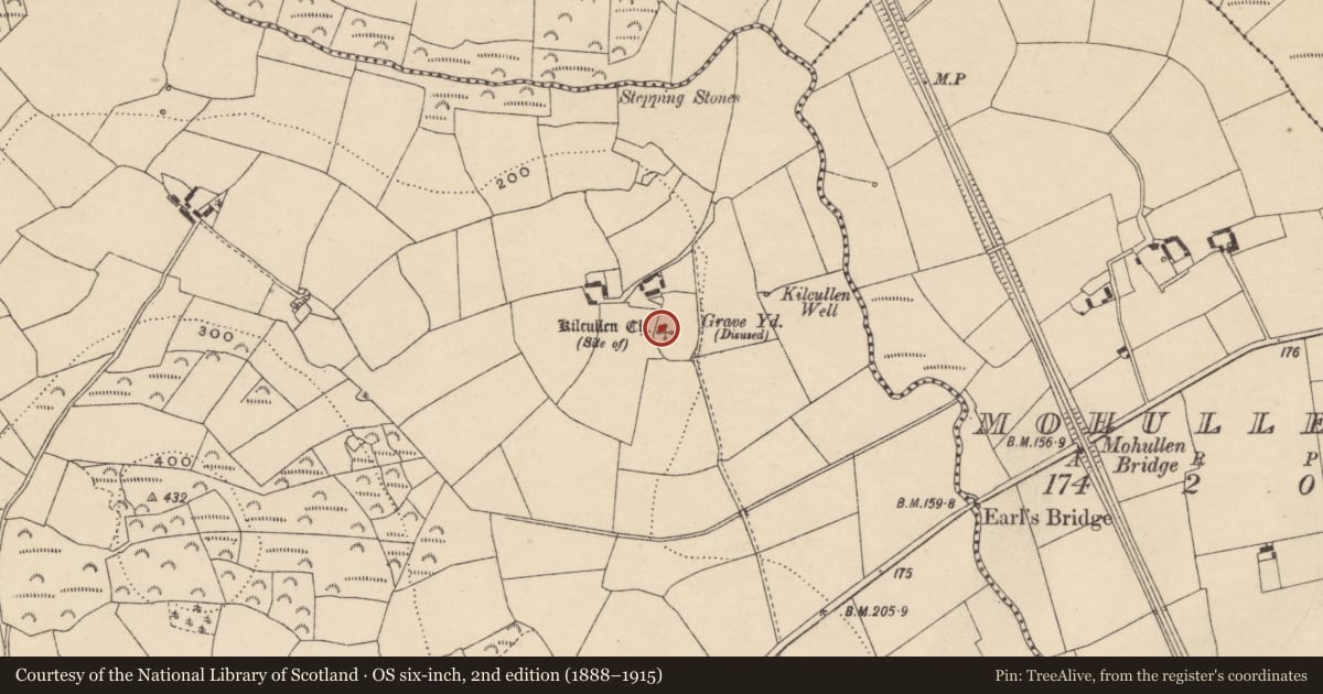 Ordnance Survey six-inch map, 2nd edition (1888–1915) covering the location of Church, Tinnacarrig, County Carlow, with a pin at the register's coordinates