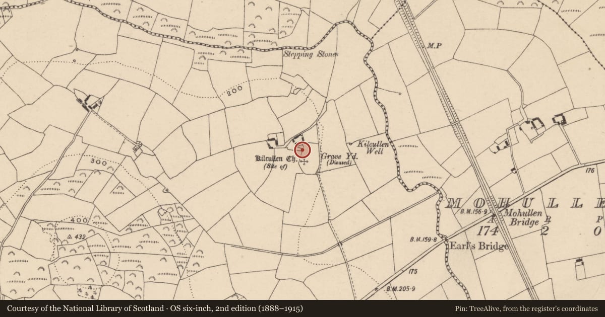 Ordnance Survey six-inch map, 2nd edition (1888–1915) covering the location of Bullaun stone, Tinnacarrig, County Carlow, with a pin at the register's coordinates