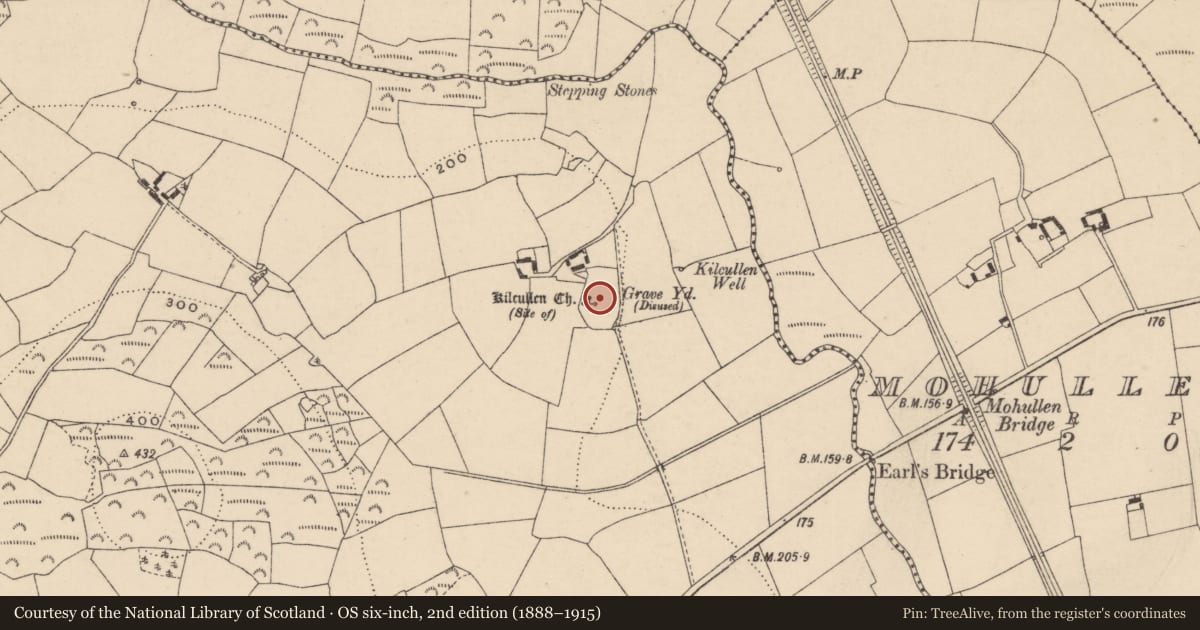 Ordnance Survey six-inch map, 2nd edition (1888–1915) covering the location of Bullaun stone, Tinnacarrig, County Carlow, with a pin at the register's coordinates