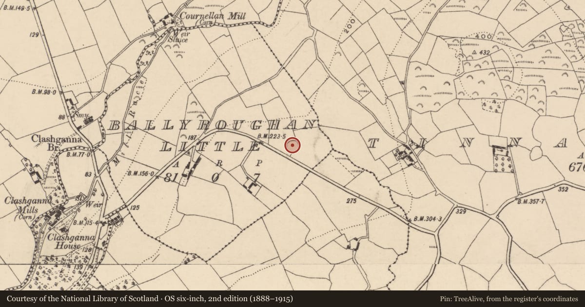 Ordnance Survey six-inch map, 2nd edition (1888–1915) covering the location of Ringfort - rath, Ballyroughan Little, County Carlow, with a pin at the register's coordinates