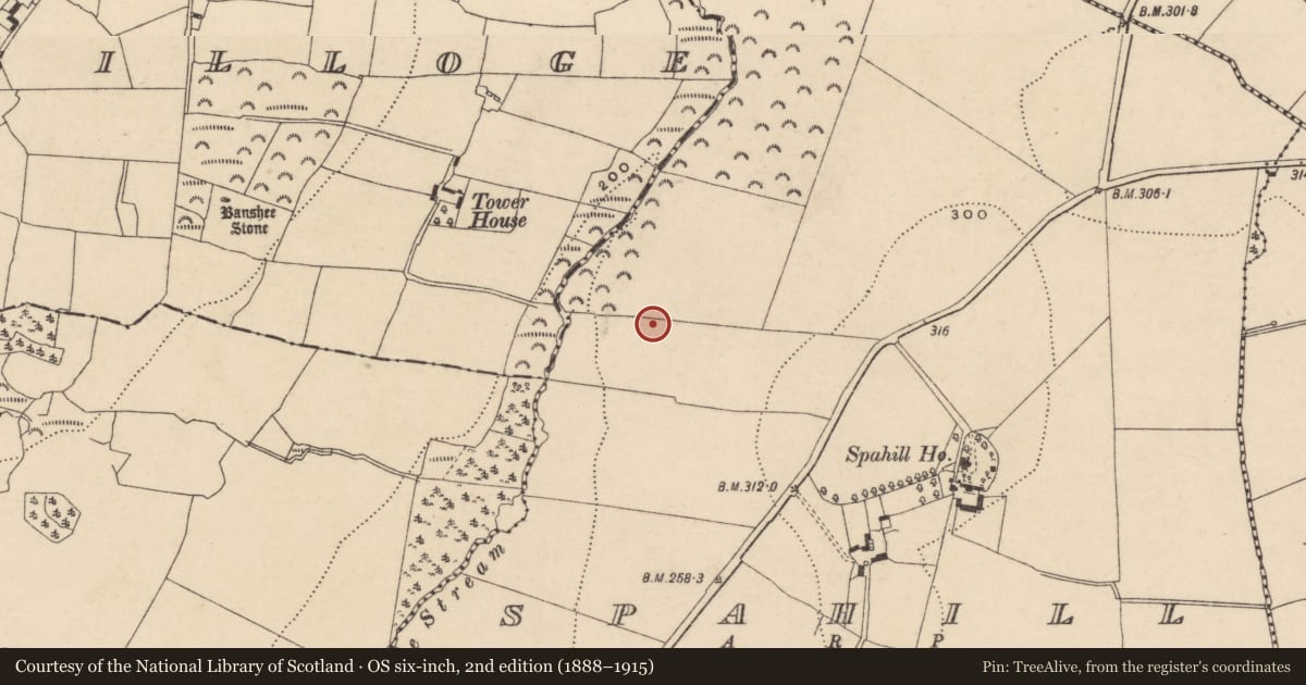 Ordnance Survey six-inch map, 2nd edition (1888–1915) covering the location of Rock art, Spahill, County Carlow, with a pin at the register's coordinates