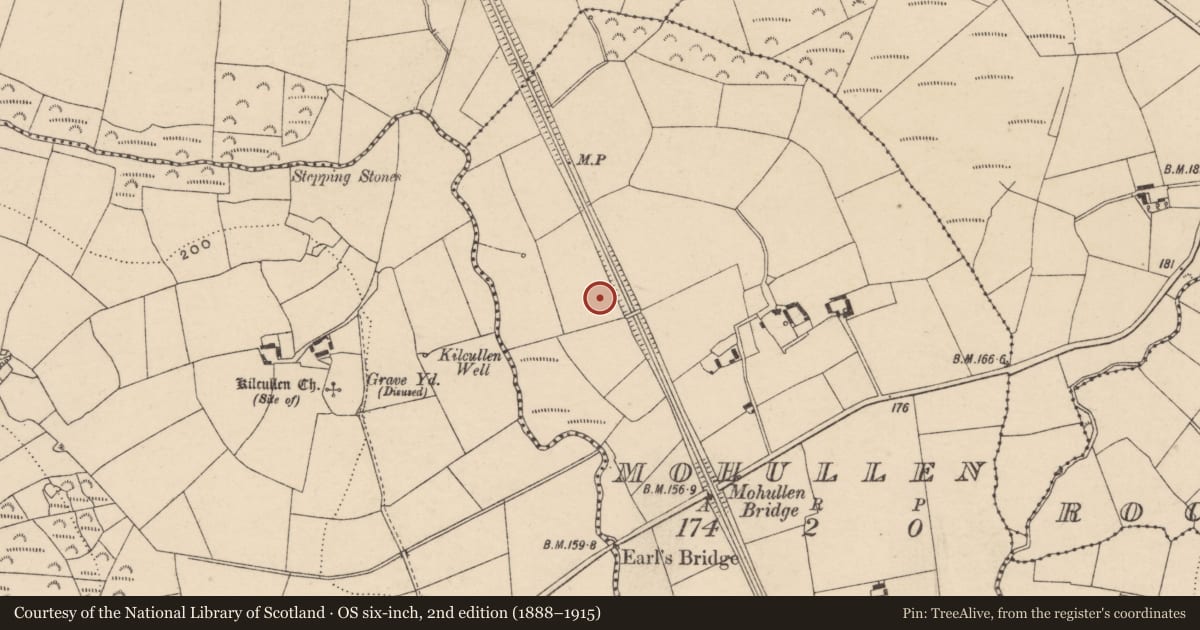 Ordnance Survey six-inch map, 2nd edition (1888–1915) covering the location of Earthwork, Mohullen, County Carlow, with a pin at the register's coordinates